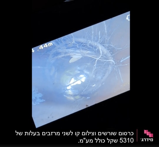 צילום מסך של צינור עם שורשים